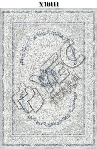 X101H