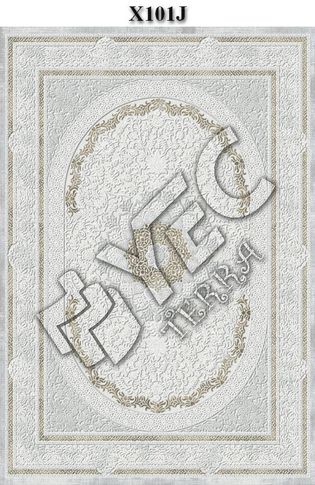 X101J