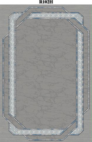 R102H