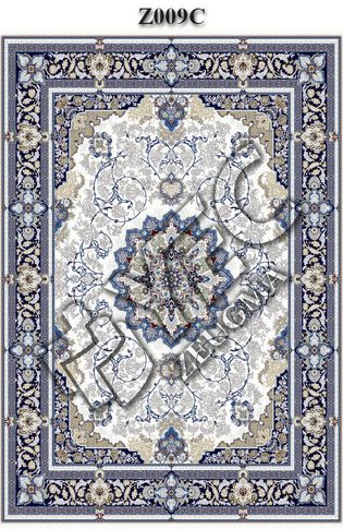 Z009C