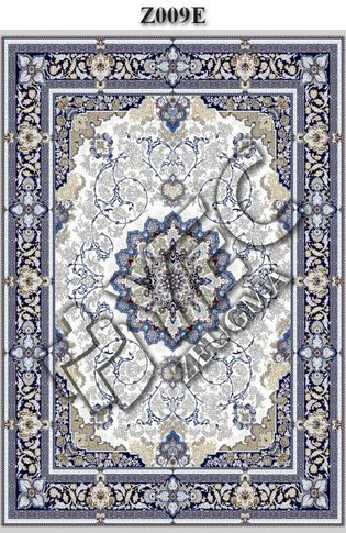 Z009E